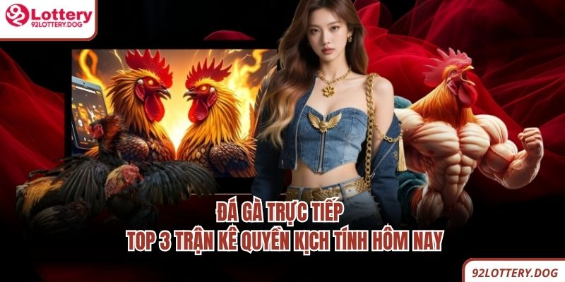 Đá Gà Trực Tiếp - Top 3 Trận Kê Quyền Kịch Tính Hôm Nay
